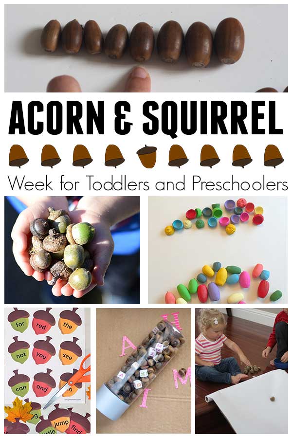 Acorn and Squirrel week plan of activities for toddlers and preschoolers with the featured book Scaredy Squirrel by Melanie Watt.