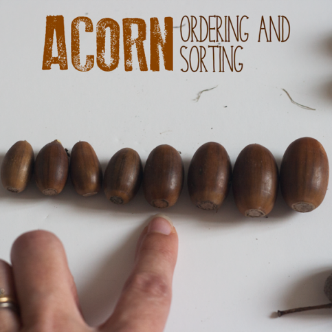 Acorn and Squirrel Book Based Activity Plan for Toddlers and Preschoolers