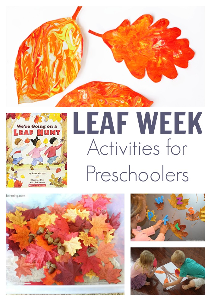 A fun week of Leaf Activities for Preschoolers featuring the picture book We're Going on a Leaf Hunt. Get creative, have fun, read, play and learn with this activity plan you can do at home or in your setting.