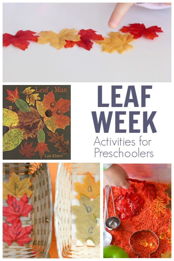 leaf week activities for preschoolers featuring the book leaf man by lois ehlert