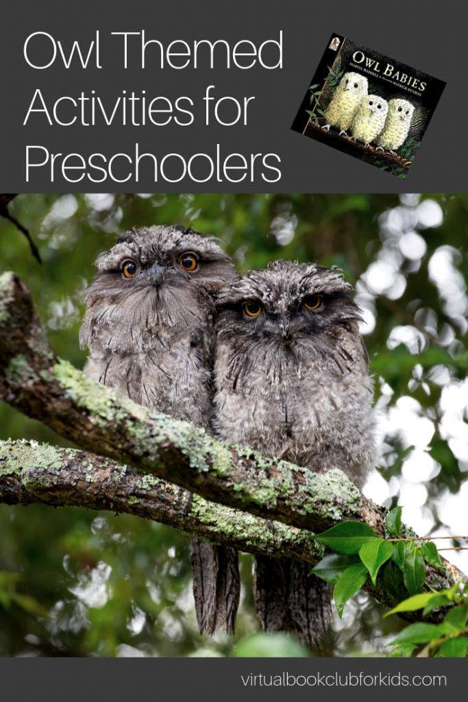 owl themed activities for preschoolers