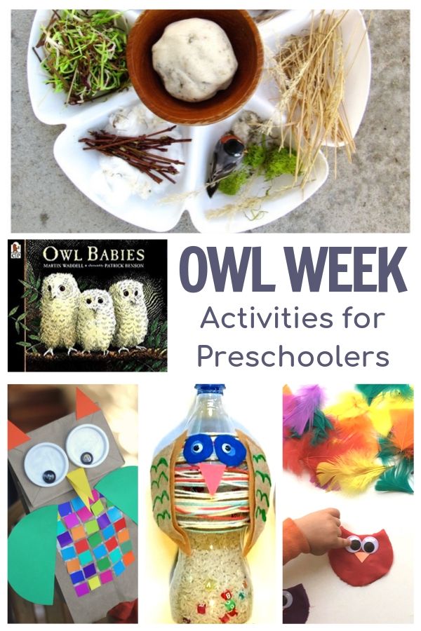 owl themed activities for preschoolers