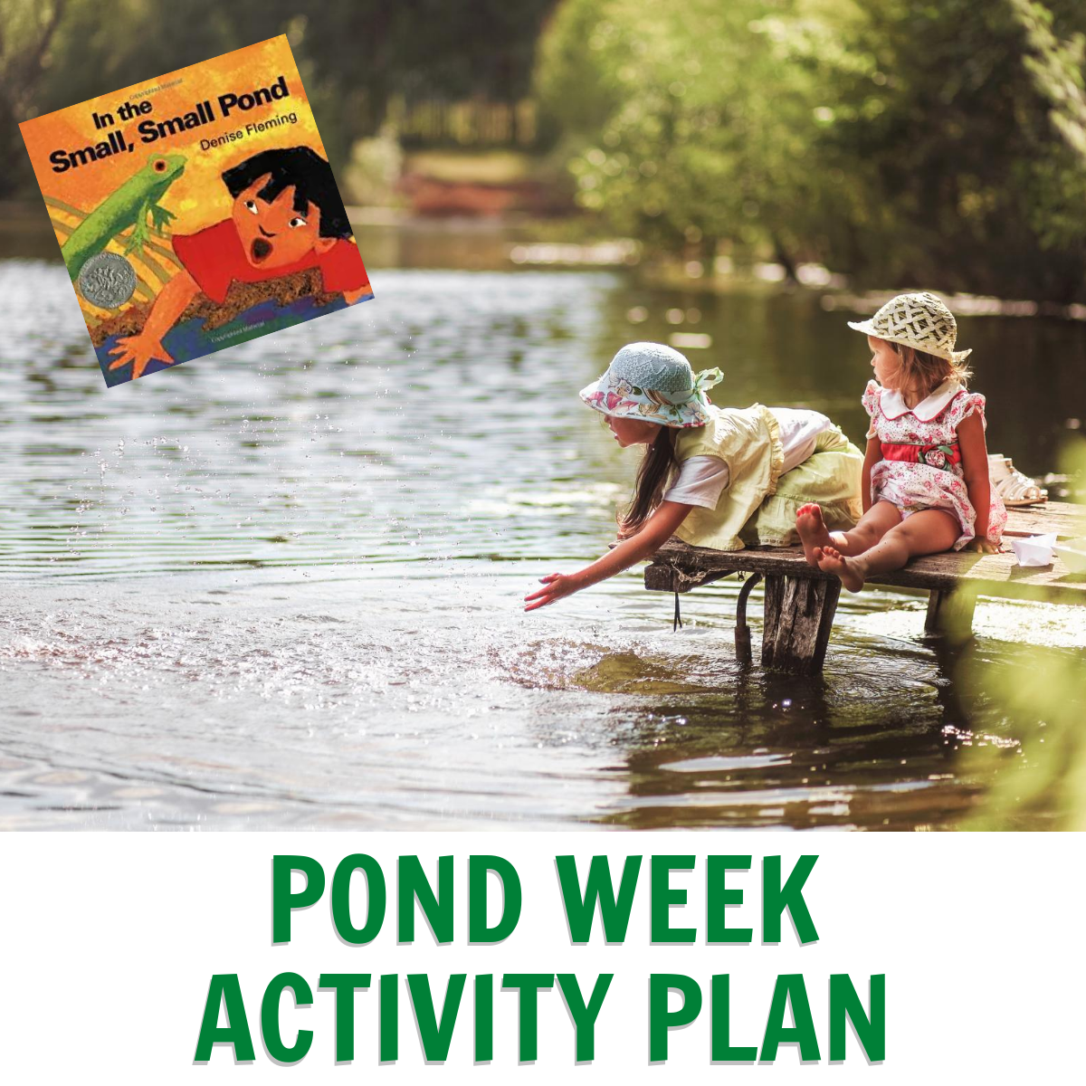 children looking in a pond with the book cover In a small, small pond by Denise Fleming text below the inmage reads Pond Week Activity Plan