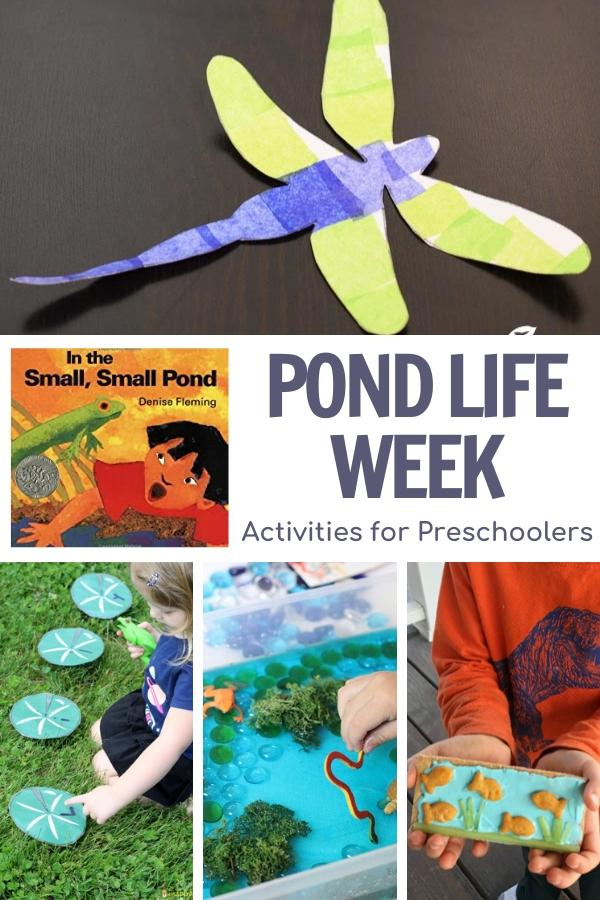 In a small small pond week of planned activities for preschoolers