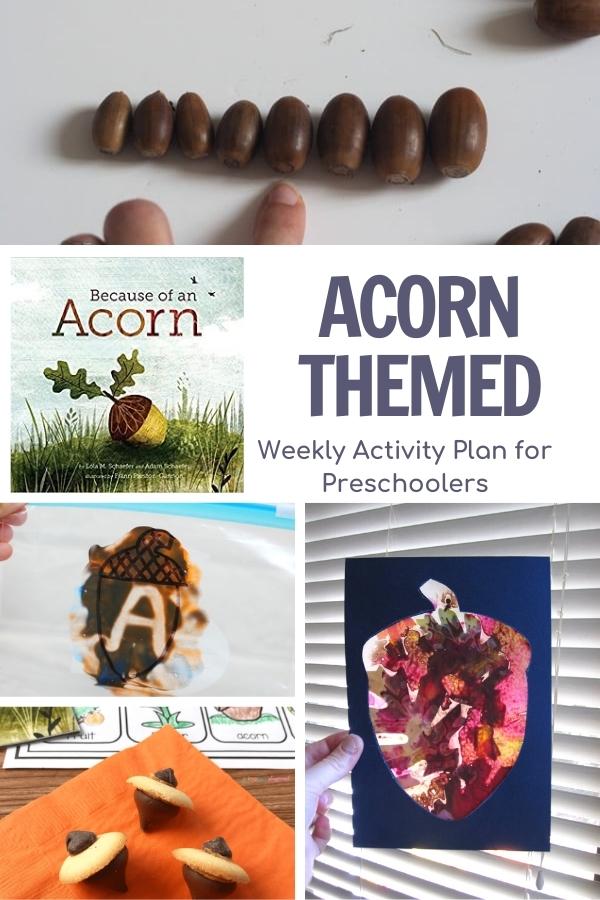 collage of acorn activities for preschoolers and the cover of Because of an acorn book