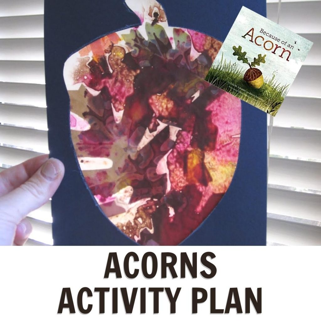 acorn sun catcher for a fun week of activities inspired by the book Because of An Acorn