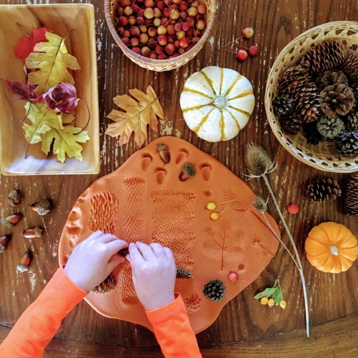 Image for Autumn Play Dough Recipe + Nature Stamps