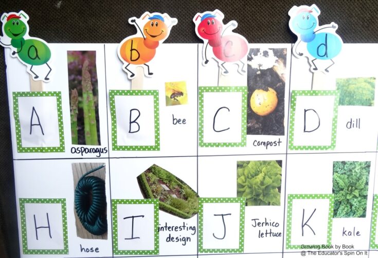 Image for Alphabet Garden Hunt Game