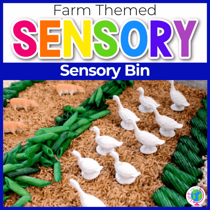 Farm Themed Sensory Bin
