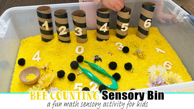 Image for Bee Counting Sensory Bin for Preschoolers