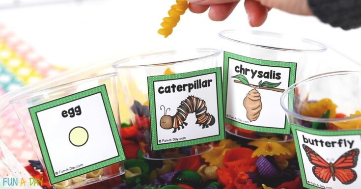 Image for Butterfly Sensory Bin and Sorting Activity