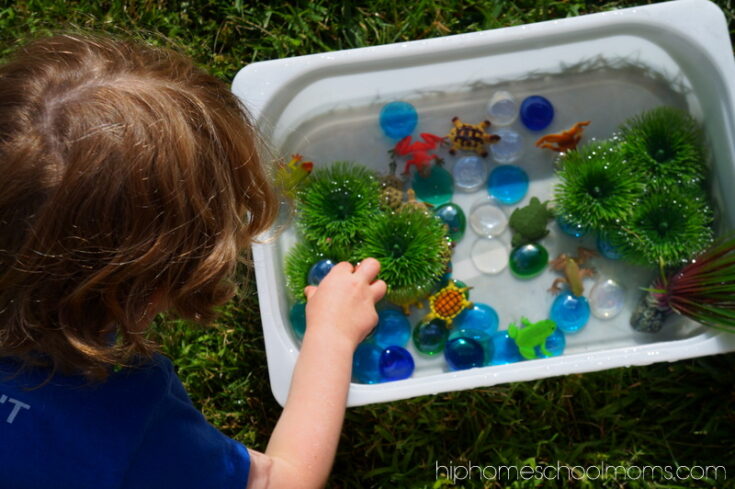 Image for Turtle Sensory Bin