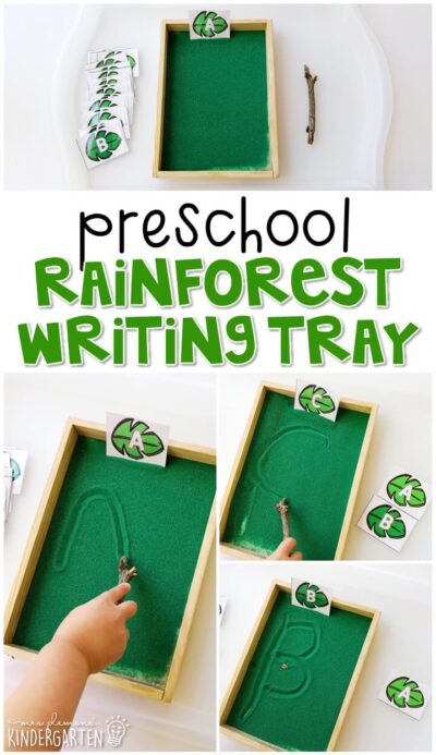 Image for Preschool: Rainforest
